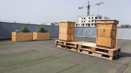 Miód z logo Geberit. Już 8 sierpnia Ogólnopolski Wielki Dzień Pszczół!